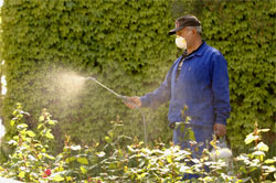 Entretien des jardins Entretien des jardins